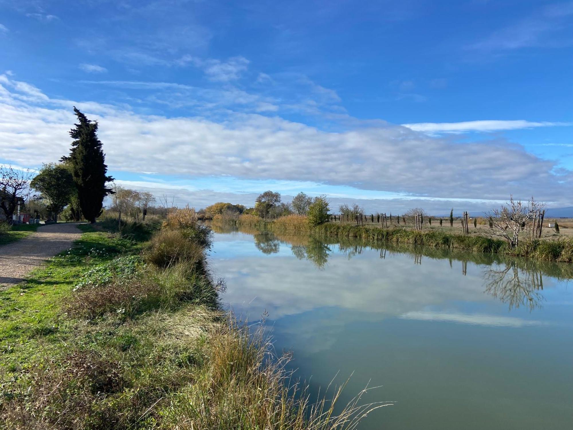 Maison, Canal Du Midi Piscine Омс Екстериор снимка